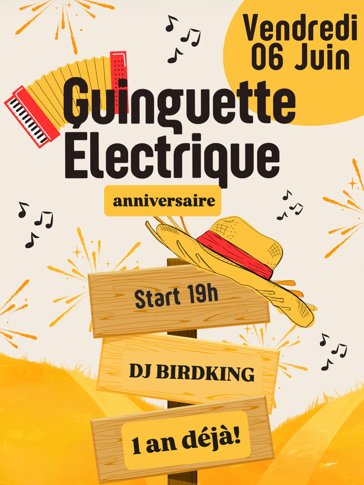 dj birdking (1 an de la guinguette electrique)