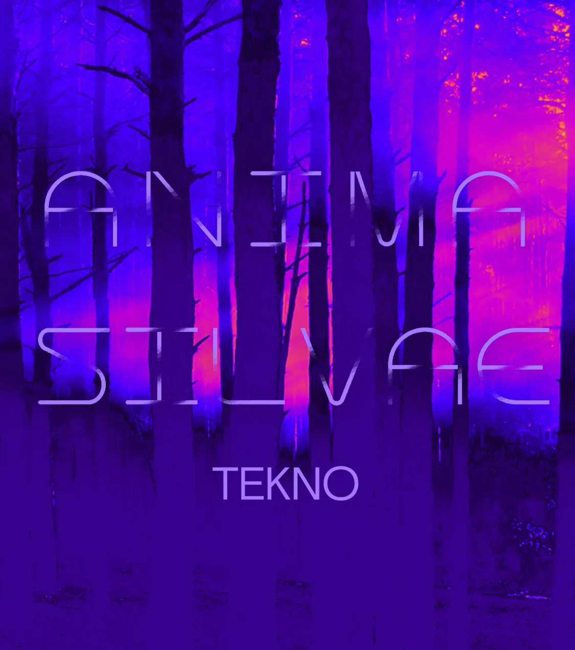 ANIMA SILVAE: ENERIS & GUESTS @ ESCARGOT CLUB
