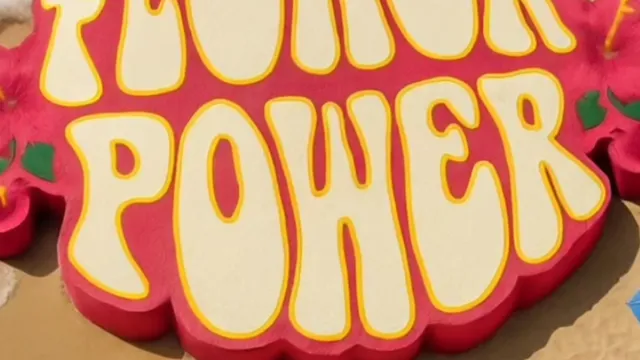 FLOWER POWER : PINCHFLOYD 