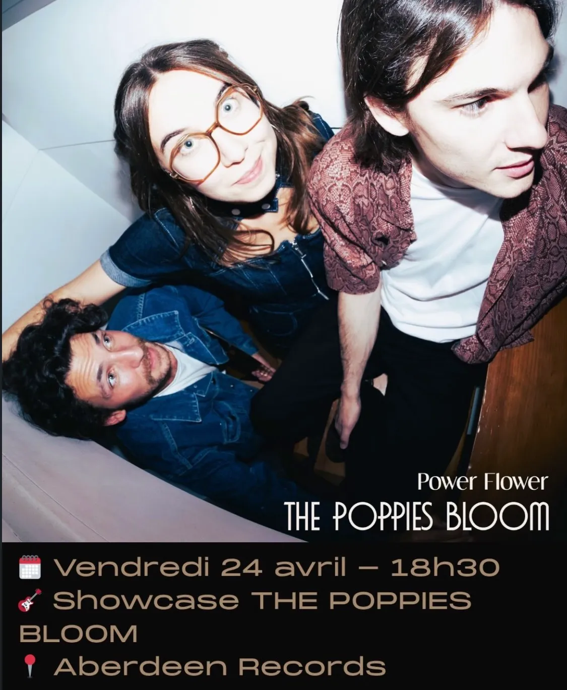 Showcase the poppies bloom