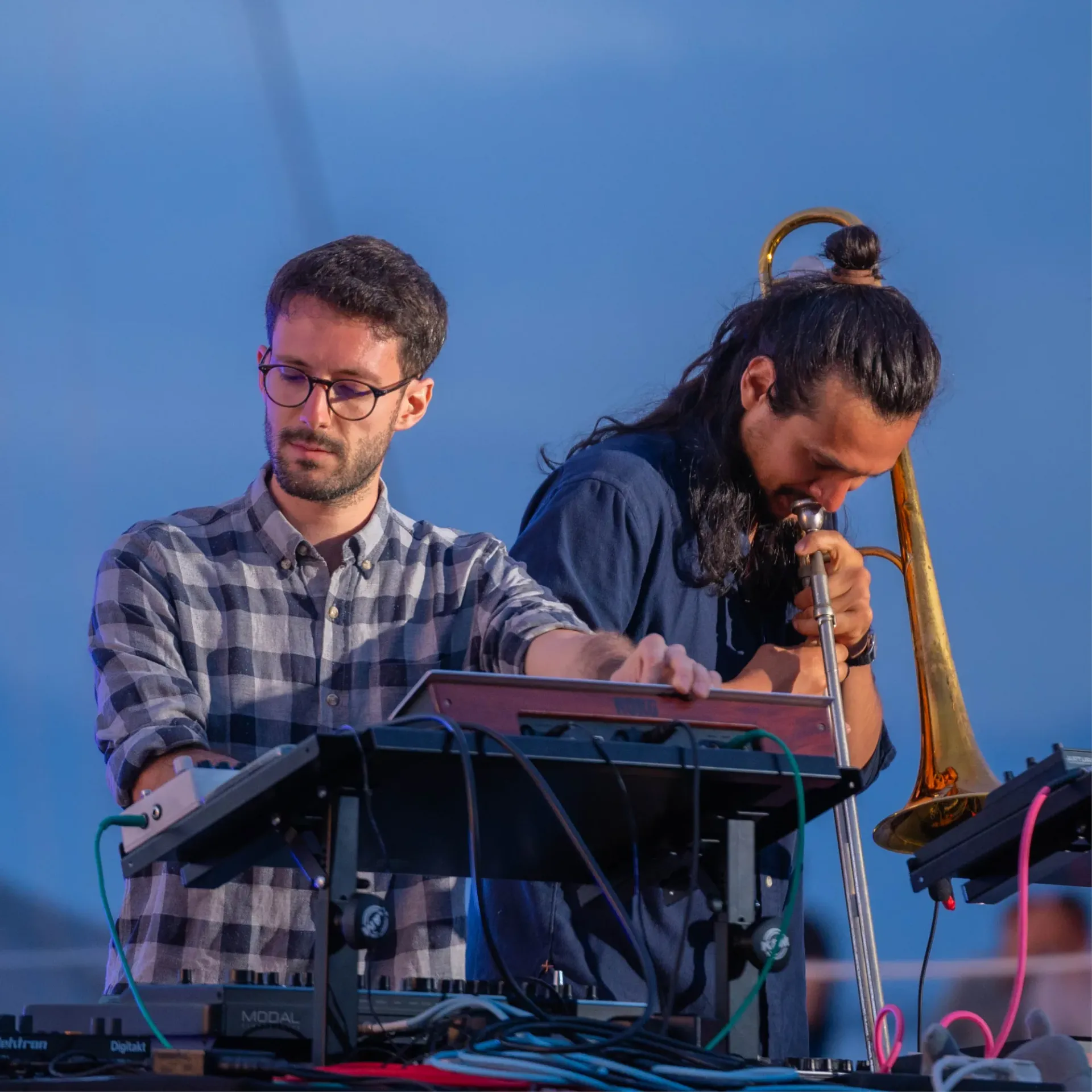 space dolphin - concert garçon la note