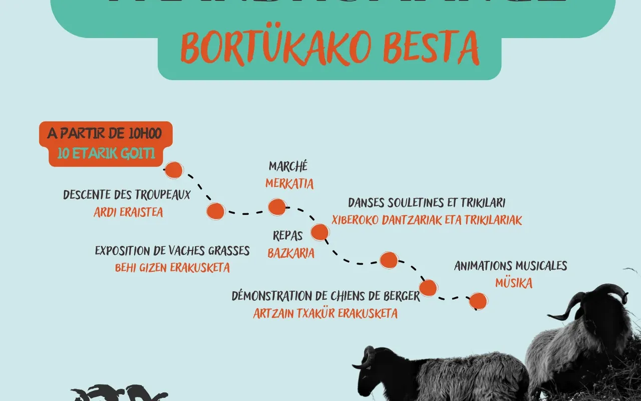 Bortükako besta 