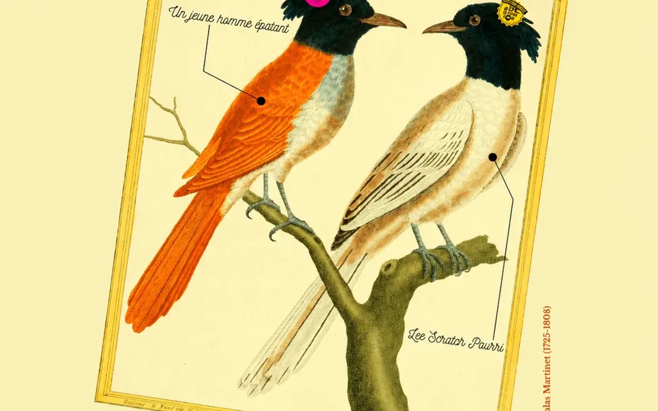 Los pinchadores del bosque
