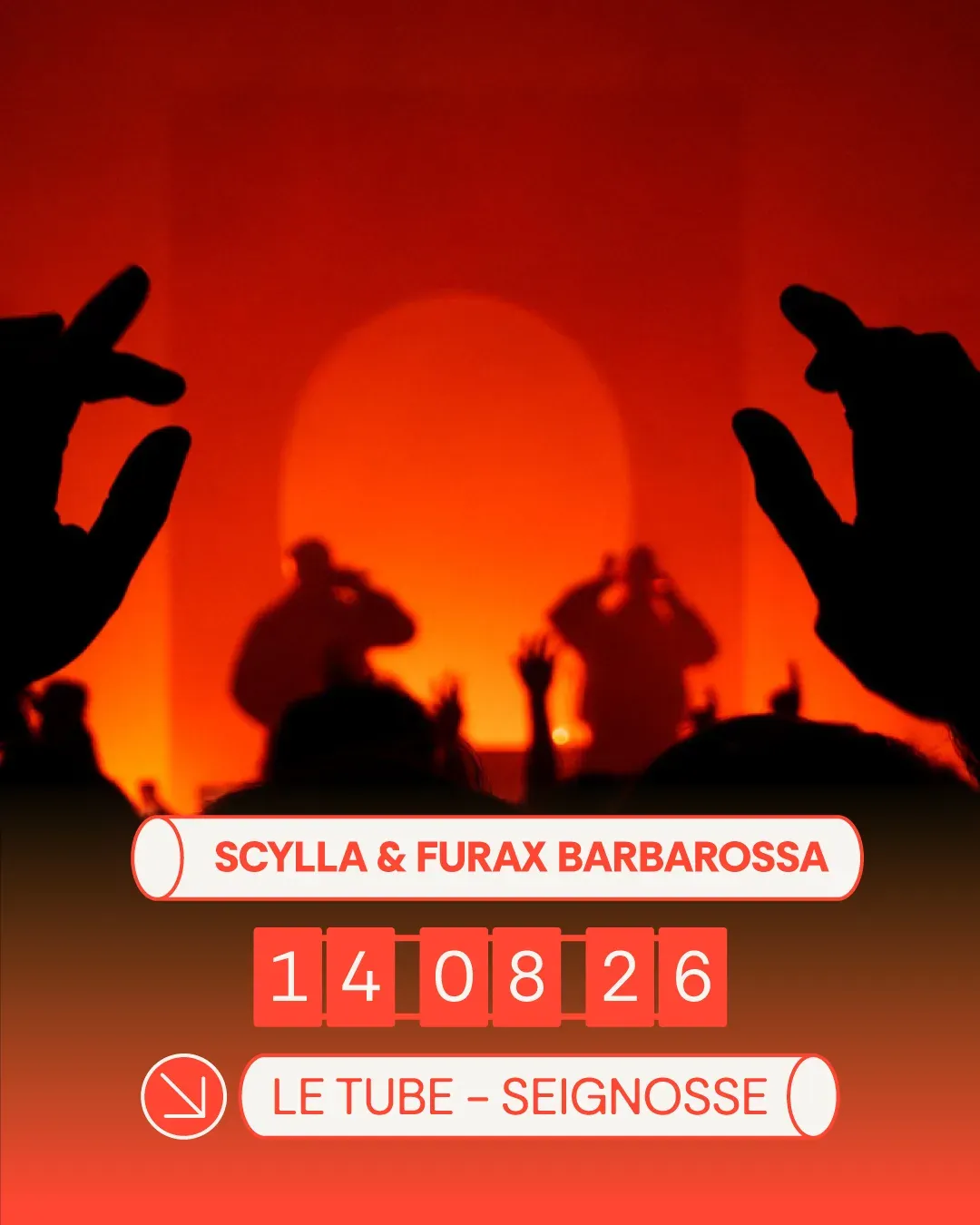 Scylla & Furax barbarossa